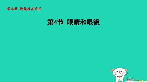 2024八年级物理上册第五章透镜及其应用第4节眼睛和眼镜课件新版新人教版