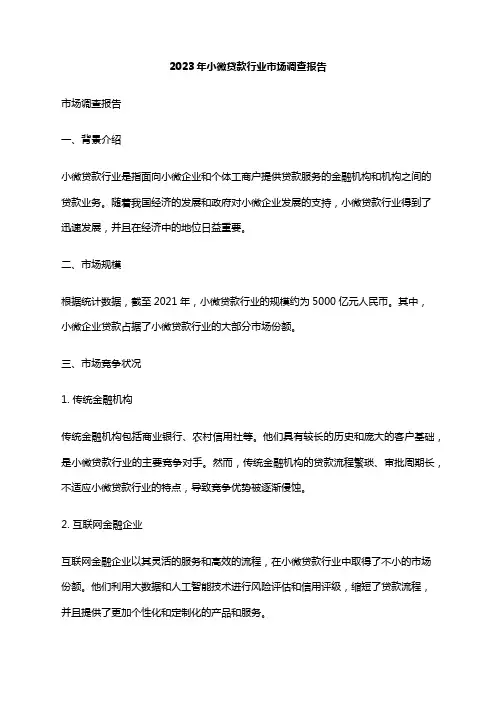 2023年小微贷款行业市场调查报告