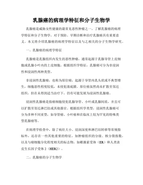 乳腺癌的病理学特征和分子生物学