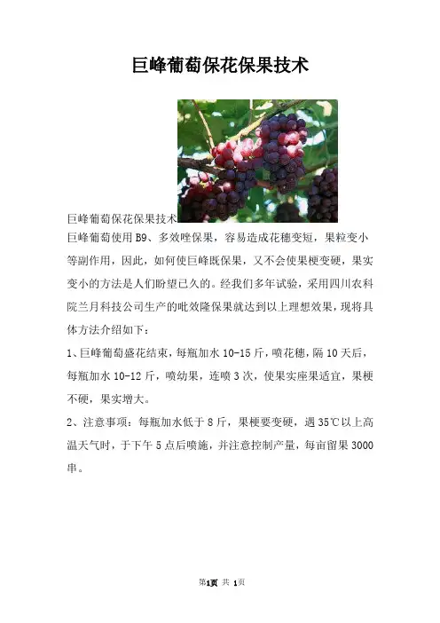 巨峰葡萄保花保果技术
