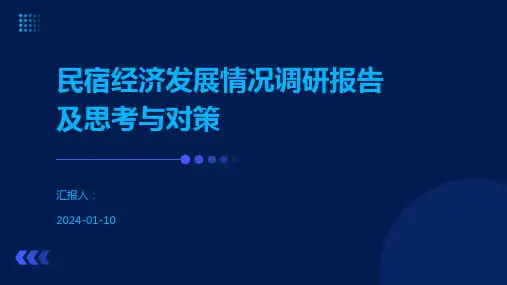 民宿经济发展情况调研报告及思考与对策