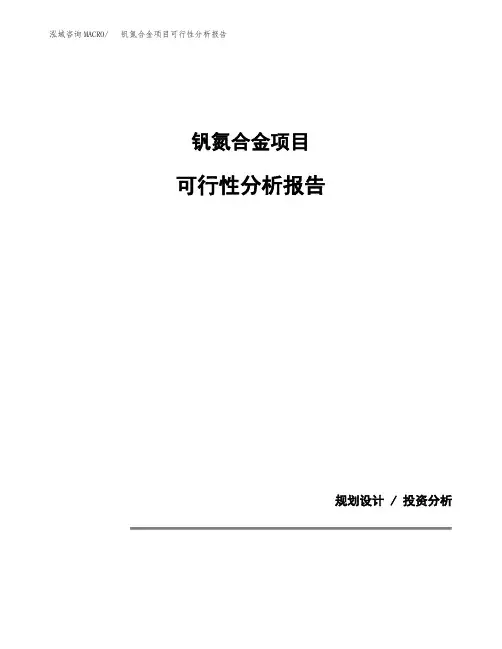 钒氮合金项目可行性分析报告(模板参考范文)
