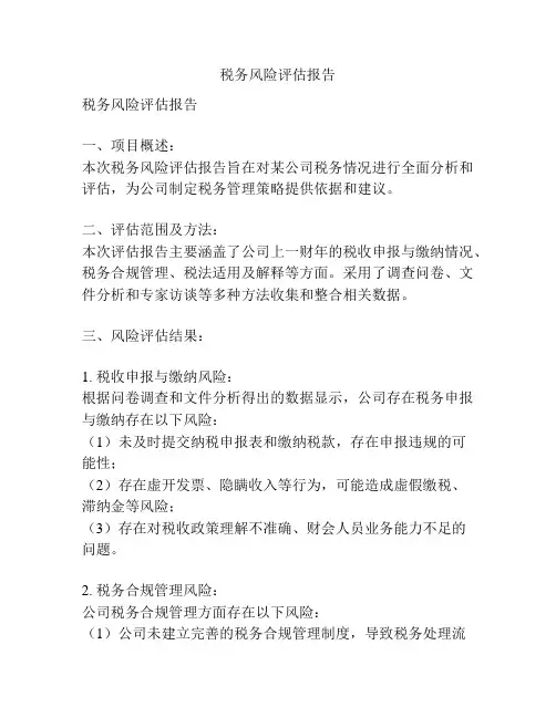 税务风险评估报告