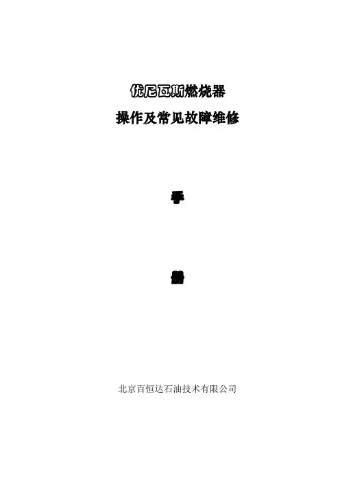 意大利赛博燃烧器故障表