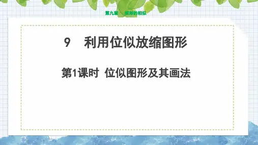 鲁教版(五四学制)数学八年级下册《利用位似放缩图形第1课时：位似图形及其画法》课件
