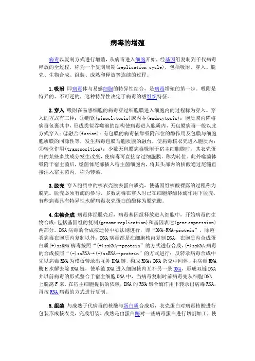病毒的增殖