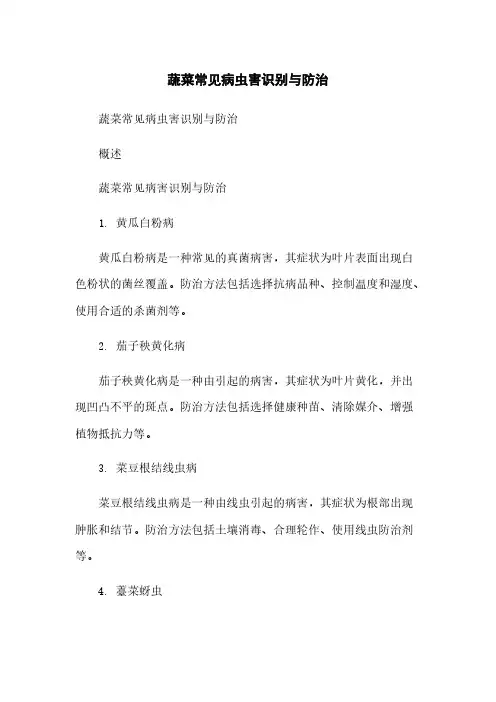 蔬菜常见病虫害识别与防治
