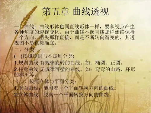 透视学-第五章-曲线透视-张岩