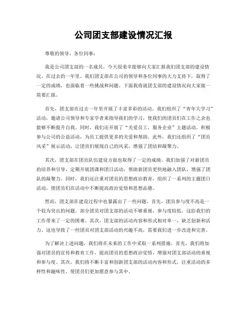 公司团支部建设情况汇报