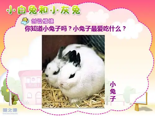 小白兔和小灰兔  公开课一等奖课件