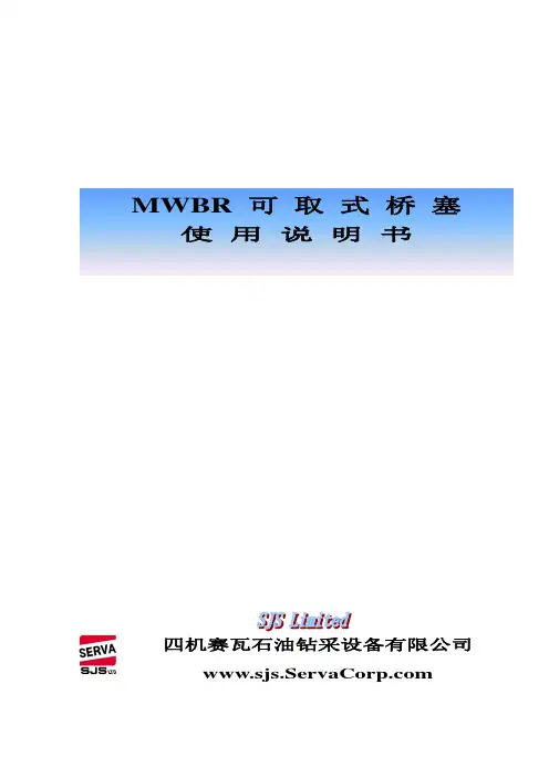 MWBR可取式桥塞说明书