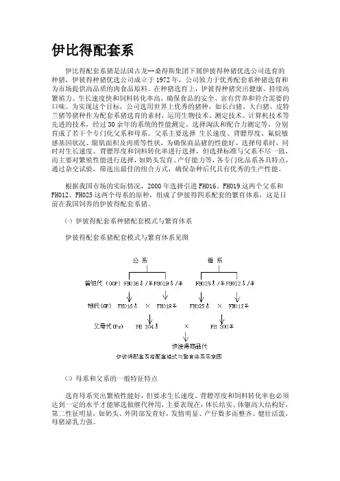 猪配套系——精选推荐
