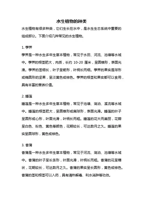 水生植物的种类