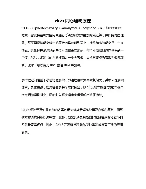 ckks同态加密原理