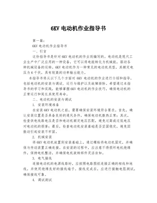 6KV电动机作业指导书