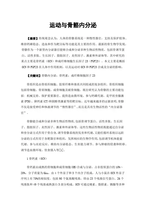 运动与骨骼内分泌