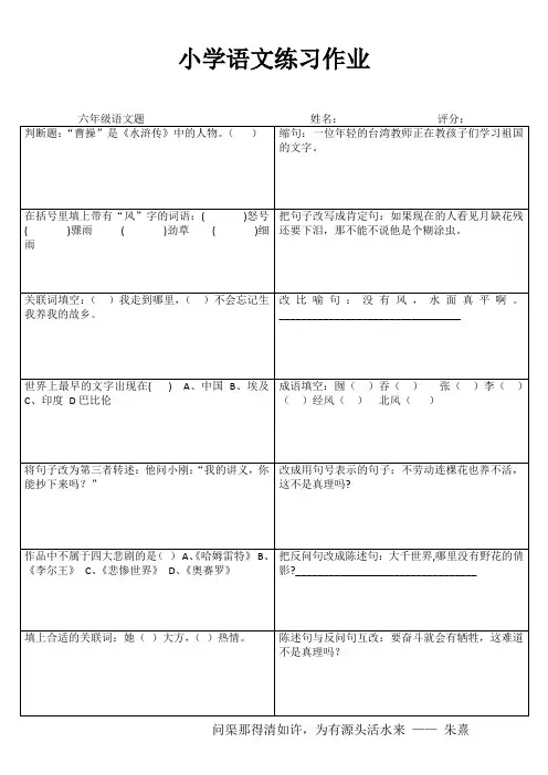 小学六年级语文提高训练V (54)