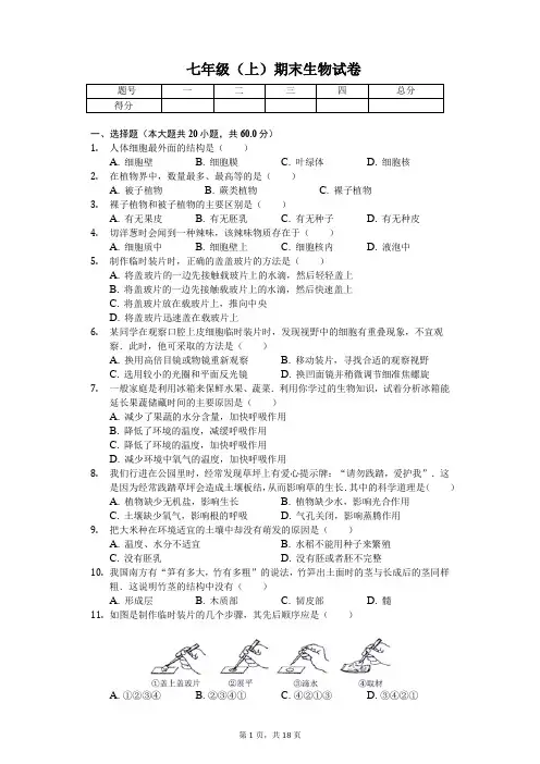 安徽省合肥市    七年级(上)期末生物试卷(含答案)