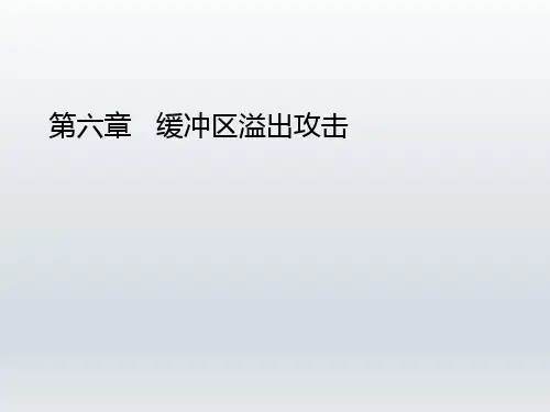 网络安全技术原理与实践  第六章 缓冲区溢出攻击