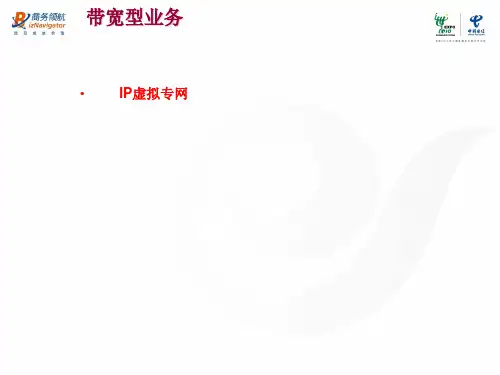IP虚拟专网PPT课件
