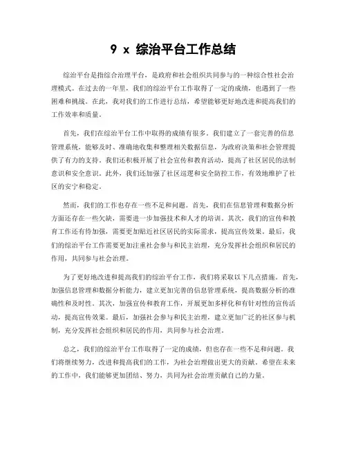 9 x 综治平台工作总结