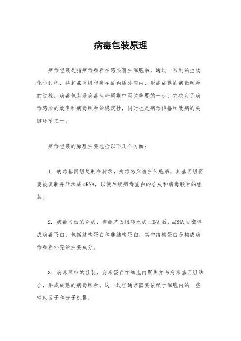 病毒包装原理
