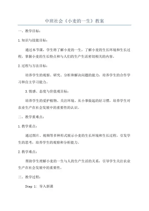 中班社会《小麦的一生》教案