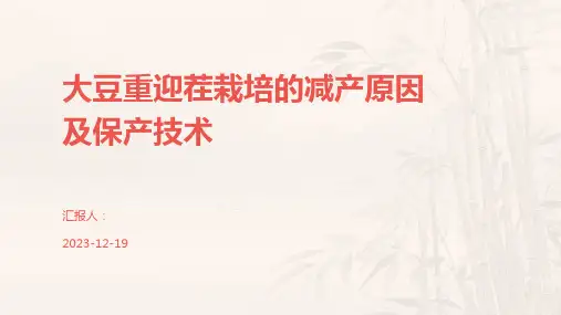 大豆重迎茬栽培的减产原因及保产技术
