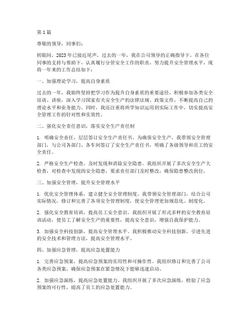 分管安全副总年度总结(3篇)