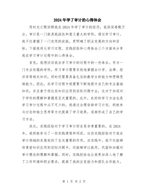2024年学了审计的心得体会