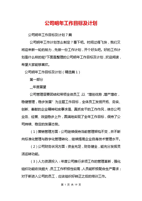 公司明年工作目标及计划