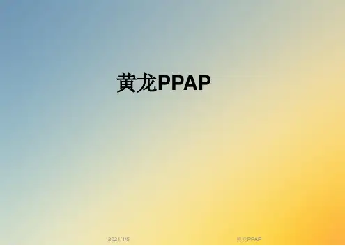 黄龙PPAP