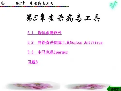 第3章查杀病毒工具