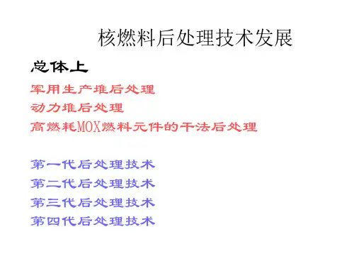 核燃料后处理技术发展
