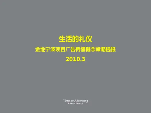 项目推广策略提案