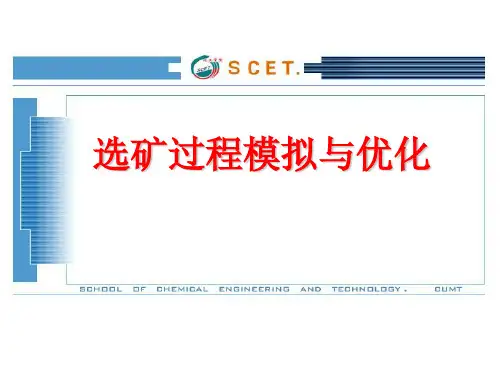 选矿过程模拟与优化_第一章概述