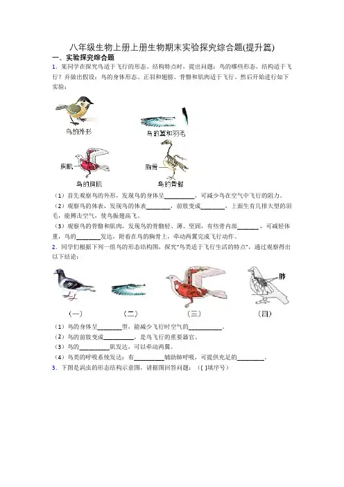 八年级生物上册上册生物期末实验探究综合题(提升篇)[001]