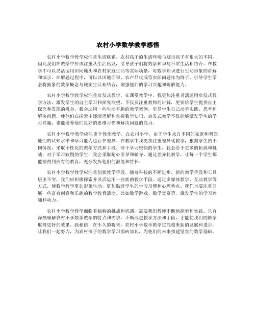 农村小学数学教学感悟