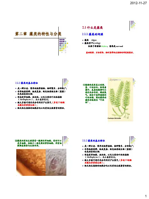 海藻学-2