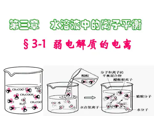弱电解质电离平衡ppt课件