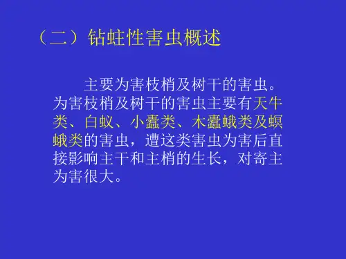 园林昆虫-钻蛀性害虫