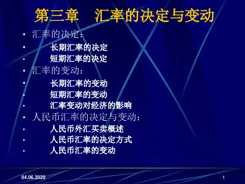 汇率的决定PPT精选文档