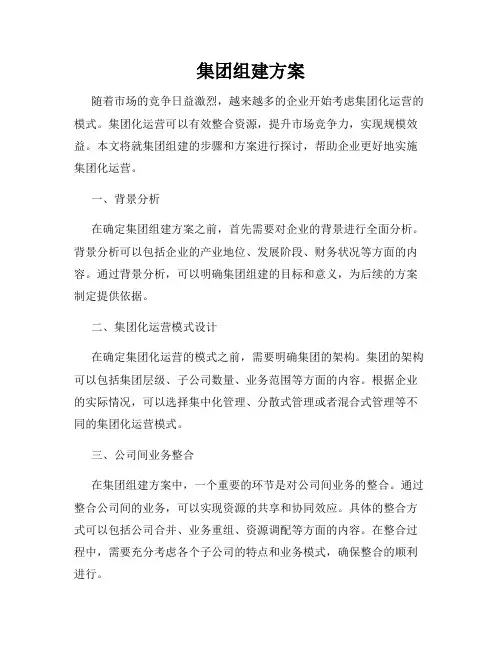 集团组建方案
