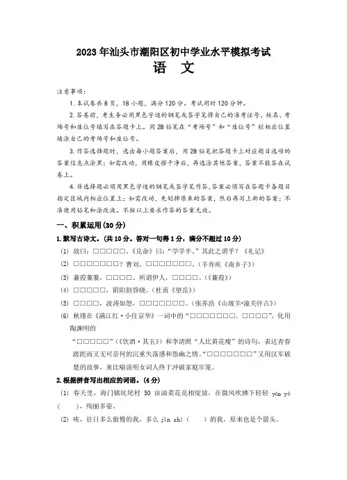 2023年广东省汕头市潮阳区潮阳区中考模拟语文试题(含答案)
