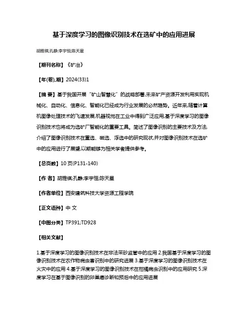 基于深度学习的图像识别技术在选矿中的应用进展