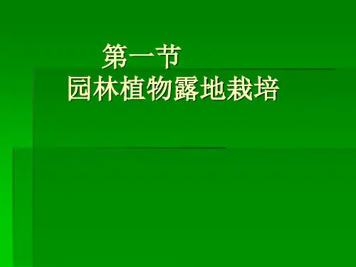 露地栽培技术