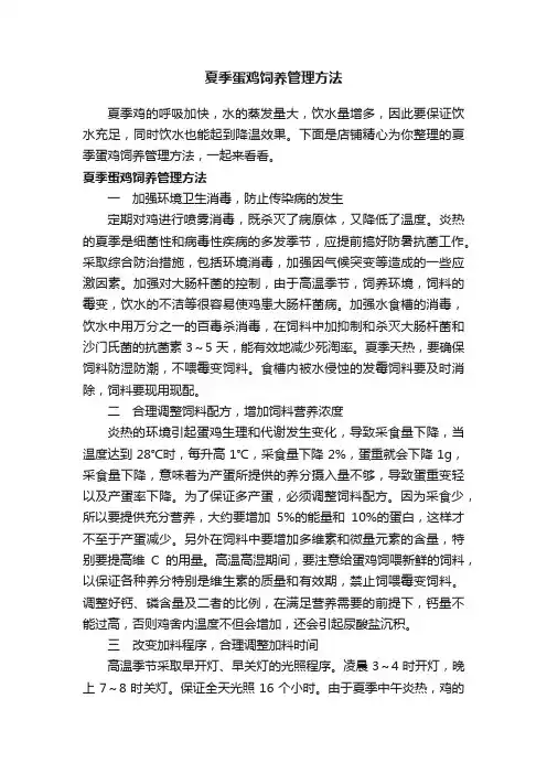 夏季蛋鸡饲养管理方法