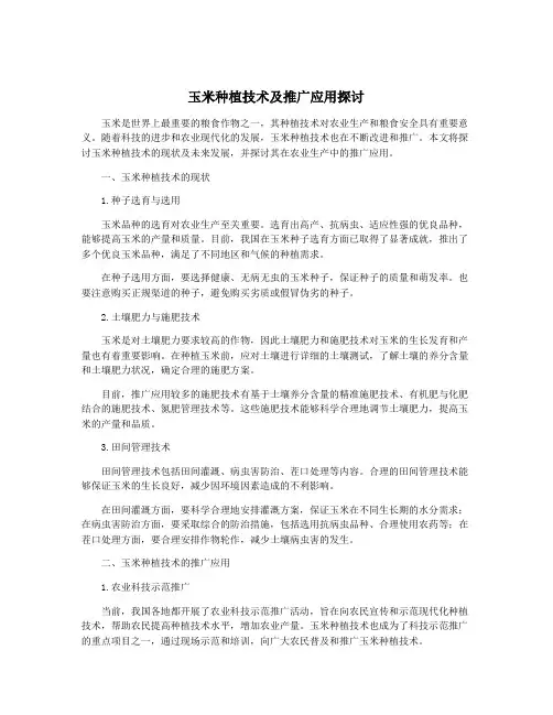玉米种植技术及推广应用探讨