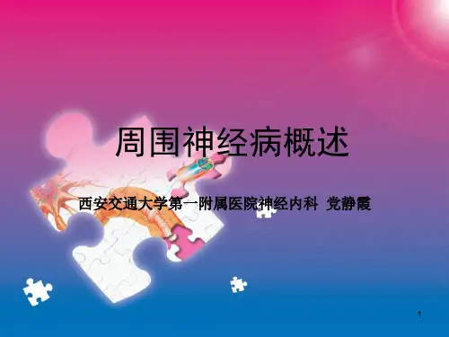 周围神经病概述