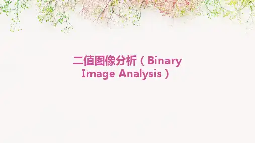 二值图象分析BinaryImageAnalysis